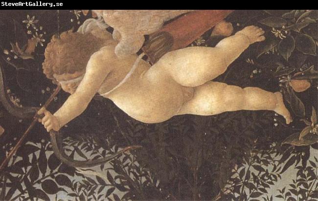 Sandro Botticelli Detail of Cupid with eyes bandaged,shooting an arrow at Chastity